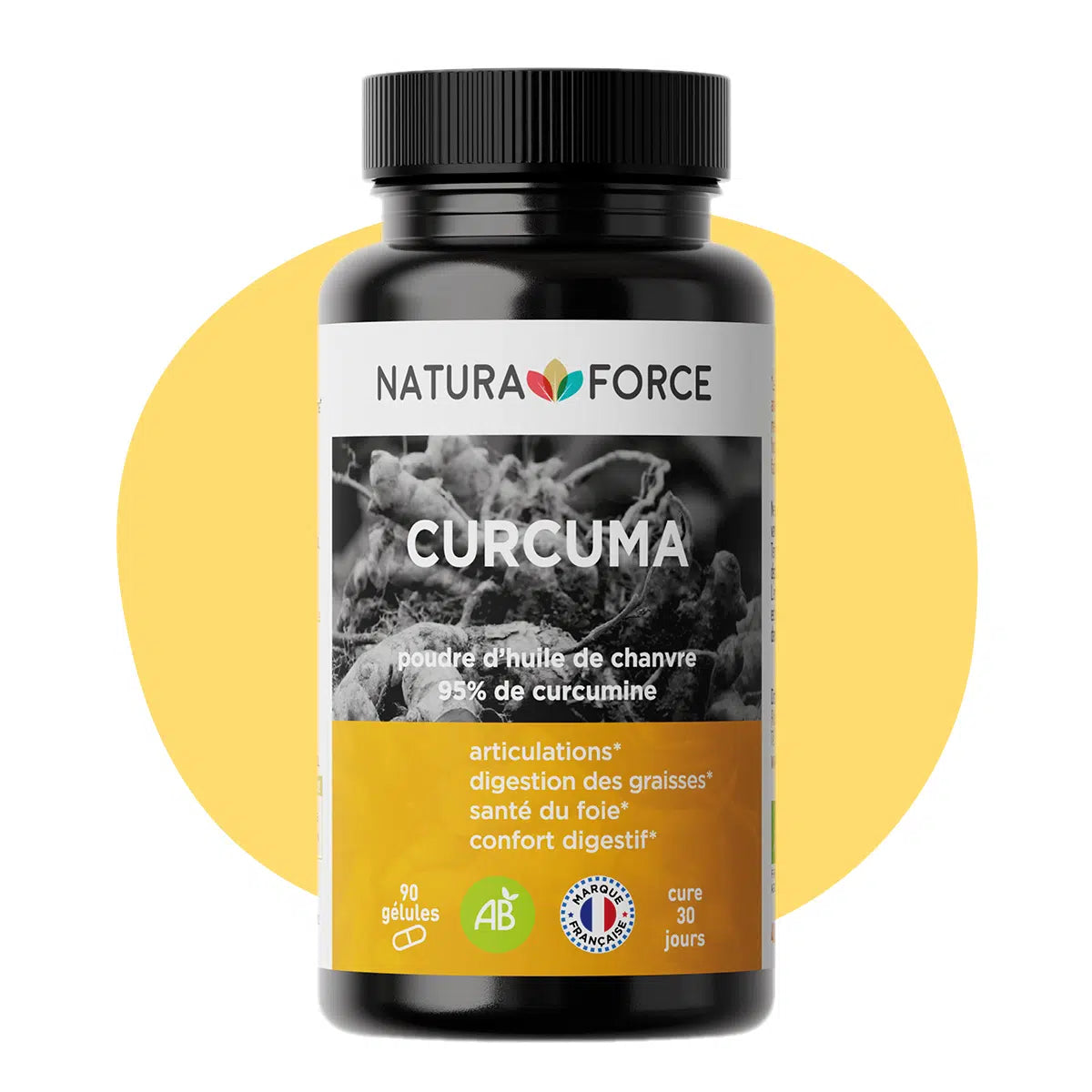 Curcuma Natura Force 90 Caps